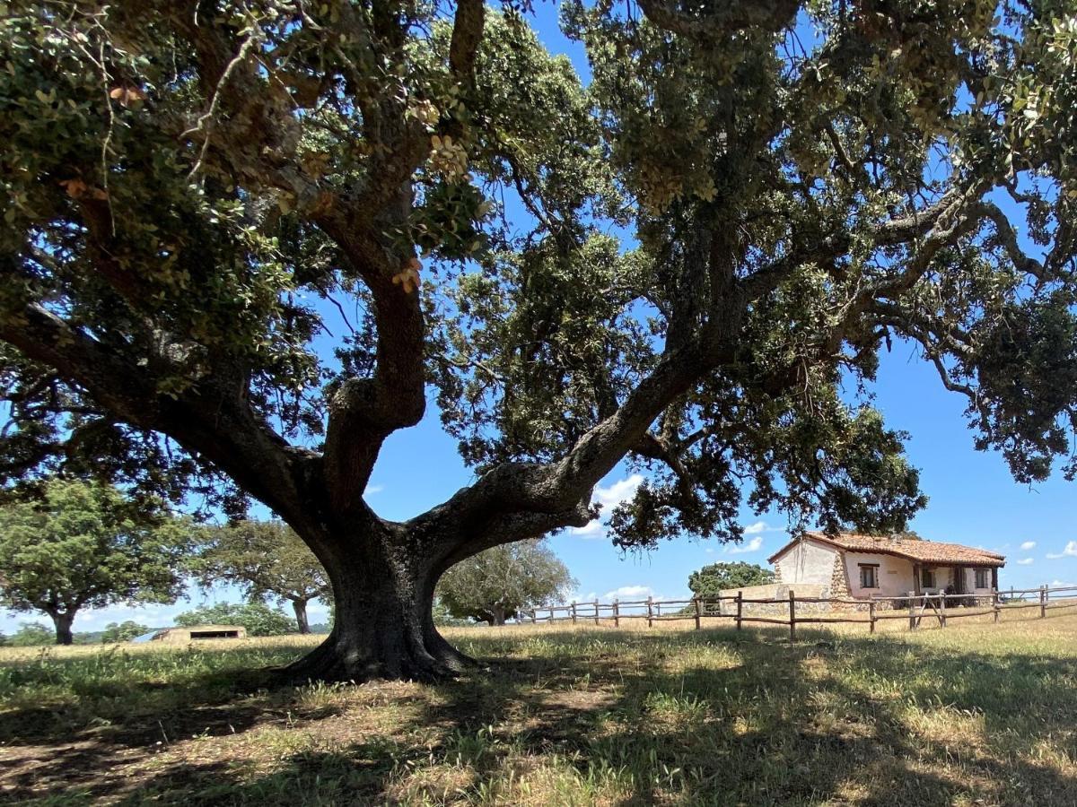 Eco-Lodge En La Reserva Privada Campanarios De Azaba - Proyecto De Conservacion Espeja Εξωτερικό φωτογραφία