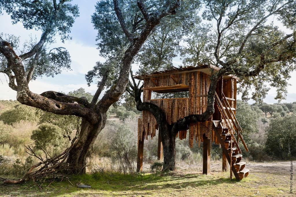 Eco-Lodge En La Reserva Privada Campanarios De Azaba - Proyecto De Conservacion Espeja Εξωτερικό φωτογραφία