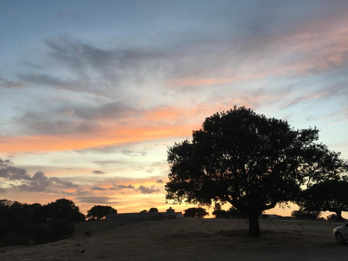 Eco-Lodge En La Reserva Privada Campanarios De Azaba - Proyecto De Conservacion Espeja Εξωτερικό φωτογραφία